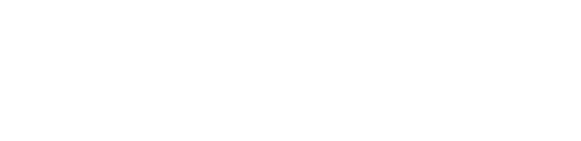 Ihre eigene Domain und Webseite sofort online und weltweit verfügbar